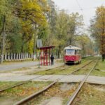 Перші кроки в арбітражі: огляд для новачків