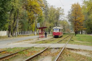 Перші кроки в арбітражі: огляд для новачків